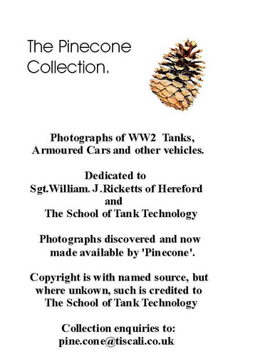 TP.000 | by pinecone1 (Peter Bond)