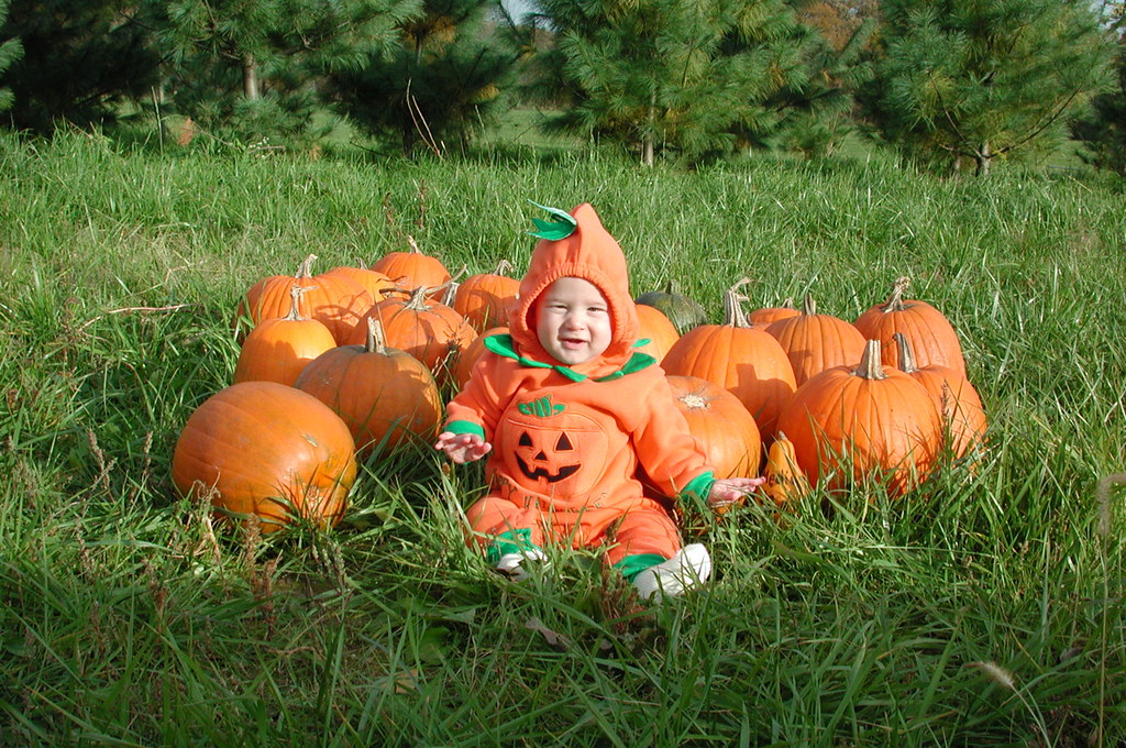 DSCN2936.JPG | our little pumpkin!! | amazing miller family photos | Flickr