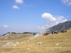 Landscape (Parco Nazionale d'Abruzzo) (3)