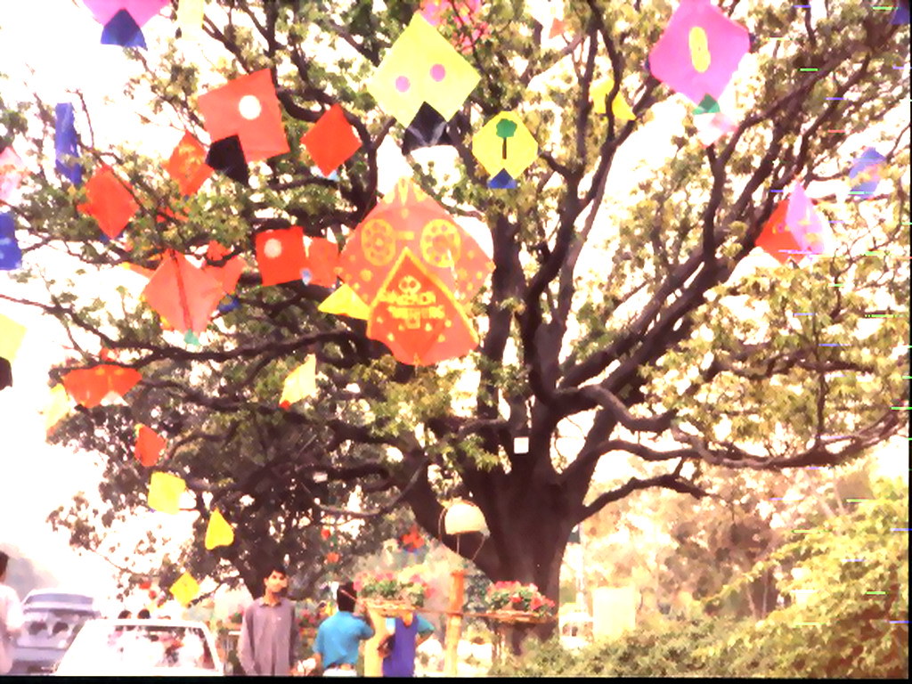 Colors of Basant in Lahore | Dr Afaq Qureshi | Flickr