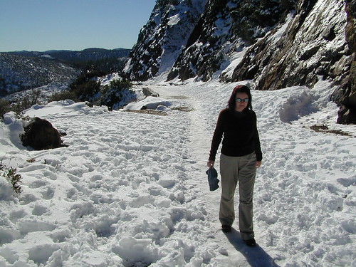 DanaMite in Snow
