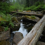 Denny Creek