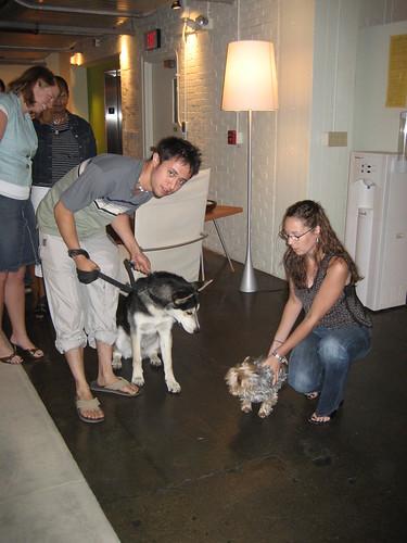 Bring your dog to work day | by www.resource.com