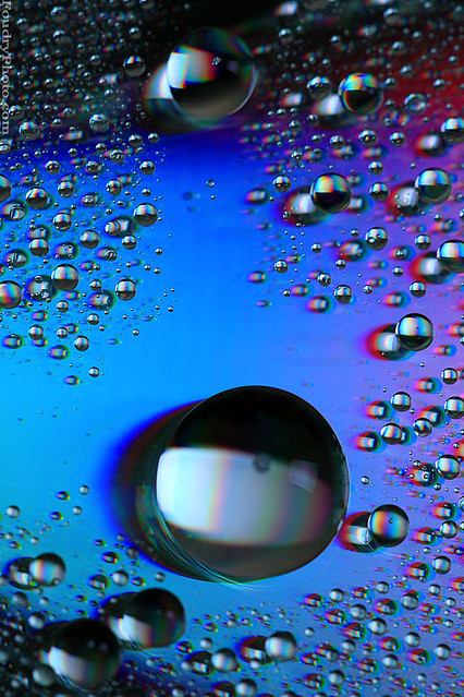 Bubbles community