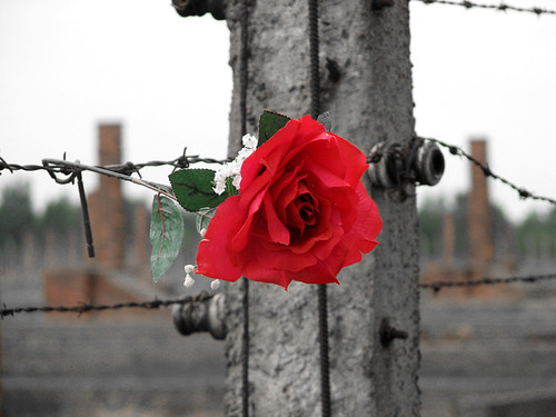 Auschwitz II - Birkenau | by Qba from Poland / qmphotostudio