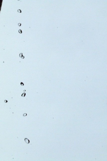 raindrops fall from the sky
