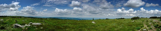 d0502p01k | Panoramablick über die Almweiden der Hautes Chaumes. Vogesen, 25.06.2005 » größere Version (im eigenen Fenster)