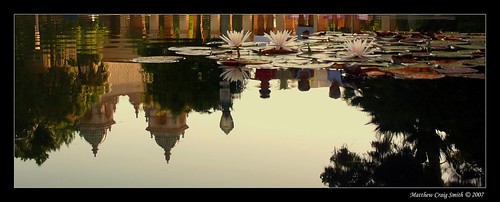 life california park city ladies people plant flower reflection building green nature water girl beautiful leaves sunrise mirror leaf pond san shiny pretty lily sandiego awesome diego lilies balboa liquid coolest nomen supershot anawesomeshot aplusphoto