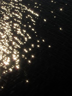 Sternchen im See