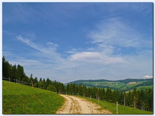 A path into the wood by Vestaligo, Austria, Styria, Sommersgut. Scenery near Wenigzell. sky tree landscape geotagged austria scenery eu