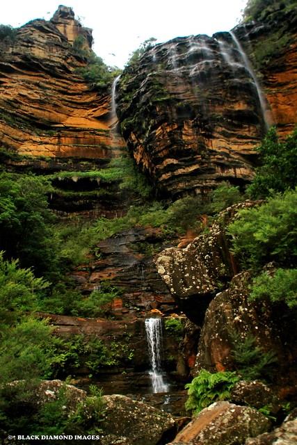 Wentworth Falls, Blue Mountains, NSW, Australia