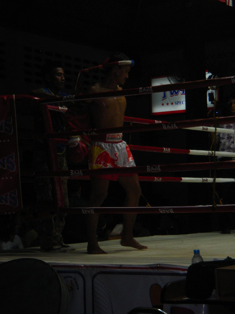 Red Bull Boxer