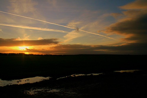 Sunset over the Curragh | by Psycrow