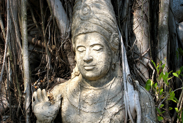 Buddha carved into a tree