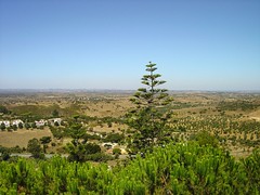 Arredores de Ourique - Portugal