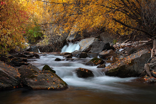 autumn motion fall water leaves yellow river utah flowing americanforkcanyon slowwater