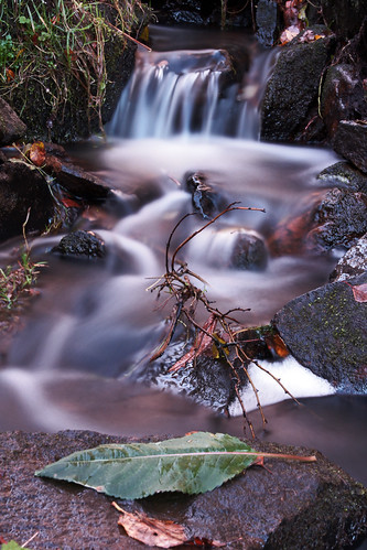 Leaf Flow | by Supreme-B