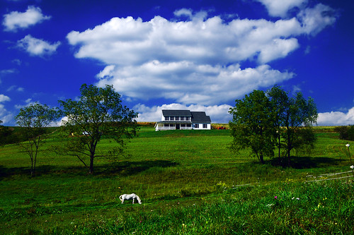 Bliss by eqqman, It's like a punch-in-the-face of beauty.blue horse house green farm country