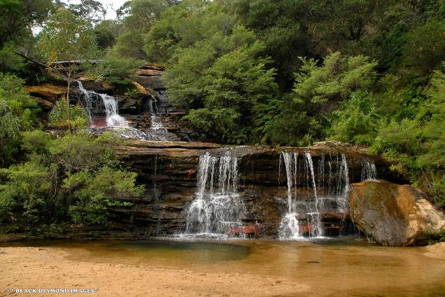 Wentworth Falls, Blue Mountains, NSW, Australia