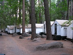 Camp Curry