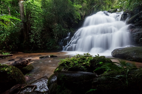 Man Dang Waterfalls, Phetchabun, Thailand by Nobythai, photos from Trip to Phitsanulok and Phetchabun Oct 22-25, 2010
---
鬱蒼と茂る原生林を啓開して作った人ひとり通れる山道。標高差600メ