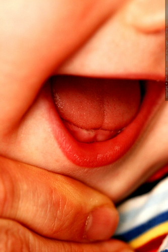 sequoia's first tooth, aka toogie grows a toog - _MG_6151 | Flickr