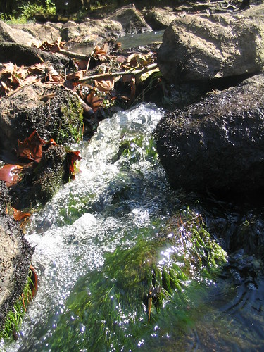 water geocaching algae louisburg franklincounty tarriver