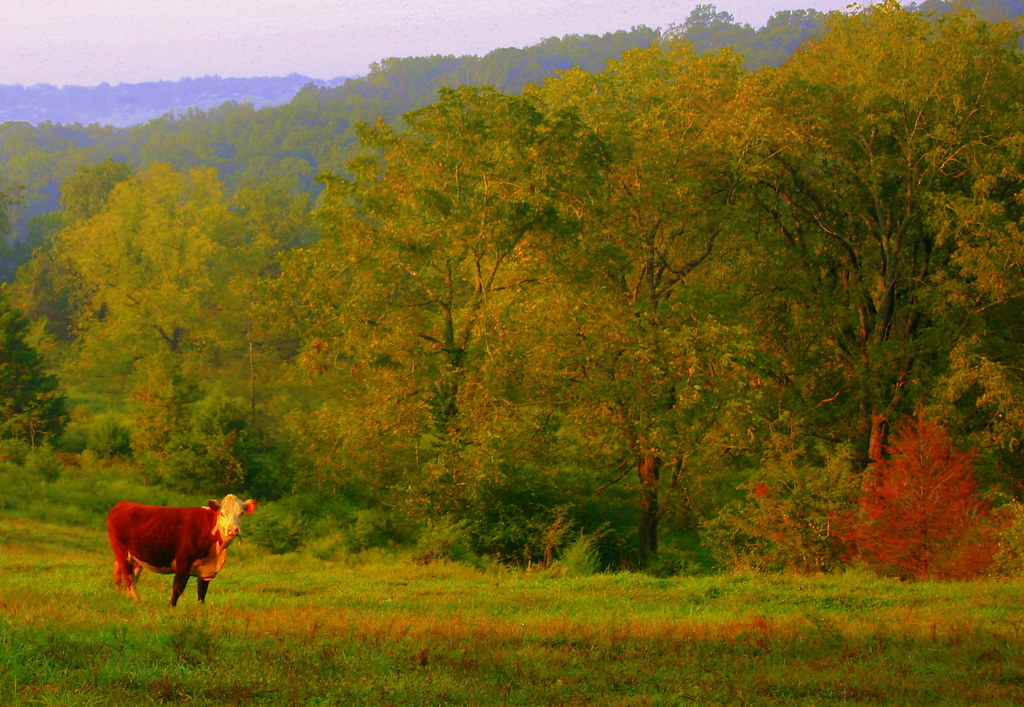 Rural Missouri | LARGER is ALWAYS BETTER www.bighugelabs.com… | Flickr