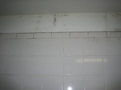 white tiled wall with black mold streaks coming down from the ceiling
