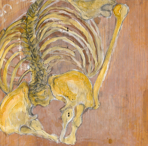 spine | by boxspring