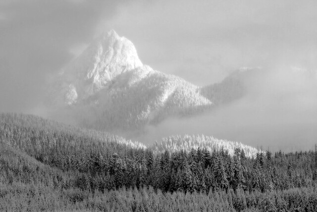 One Of The Golden Ears - Maple Ridge BC