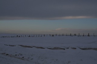 Snow Drifts along Fenceline