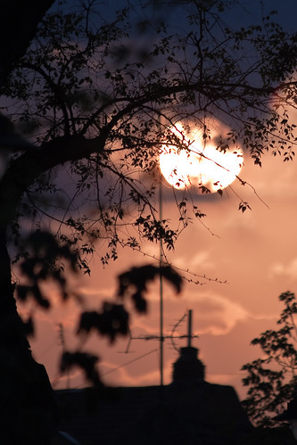 street light sunset sky sun tree leaves silhouette canon serbia vršac vrsac