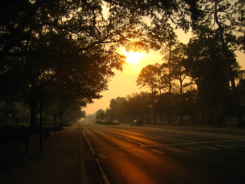 IMG_8411 by adrienneserra, A smoky evening on University Avenue in Gainesville, Florida.sunset sun haze university florida smok