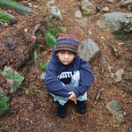 The Littlest Hiker