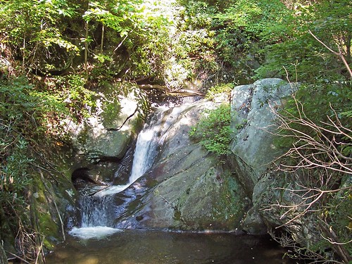 waterfall cove basin doughton