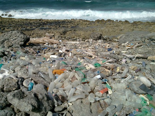 Bonaire | Donal Boyle | Flickr