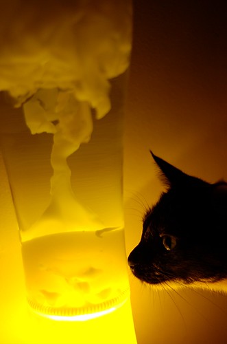 Iffy and the Lava Lamp 2 | by Wahj