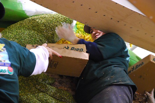 Peaing | by Compwalla