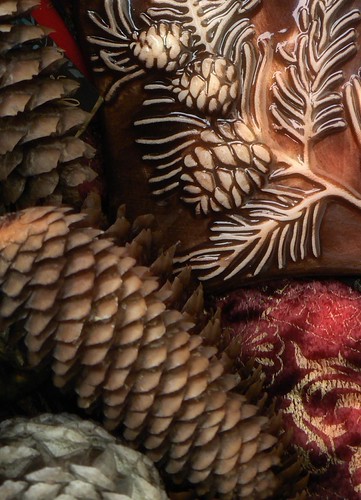 PInecones | by Zsaj