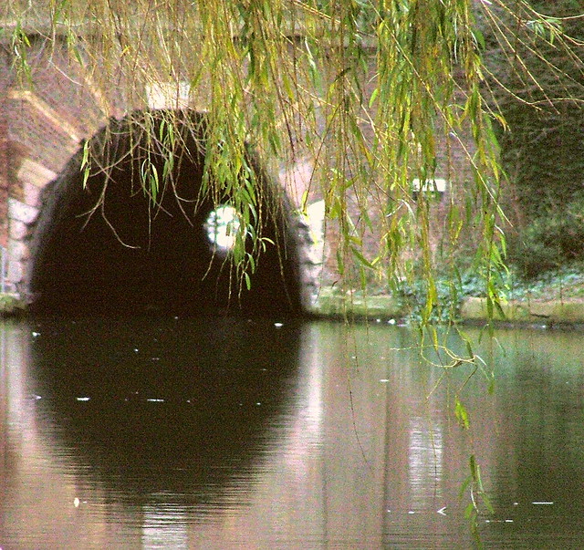 Regents Canal - Light at the end of the tunnel - January 28th 2007