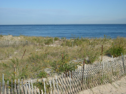 Kings Beach