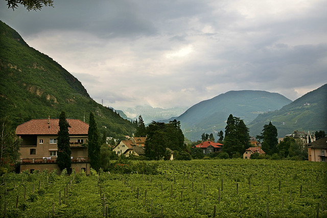Bolzano - few to the mountains
