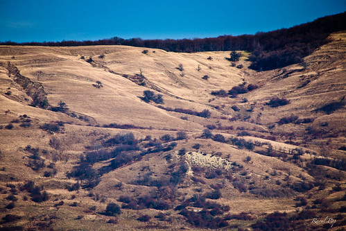 autumn trees fall grass canon flickr seasons dry romania hillside barren transilvania canoneos5d googlephotos nearrusi