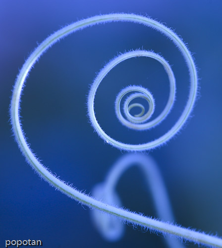 Cool Spiral