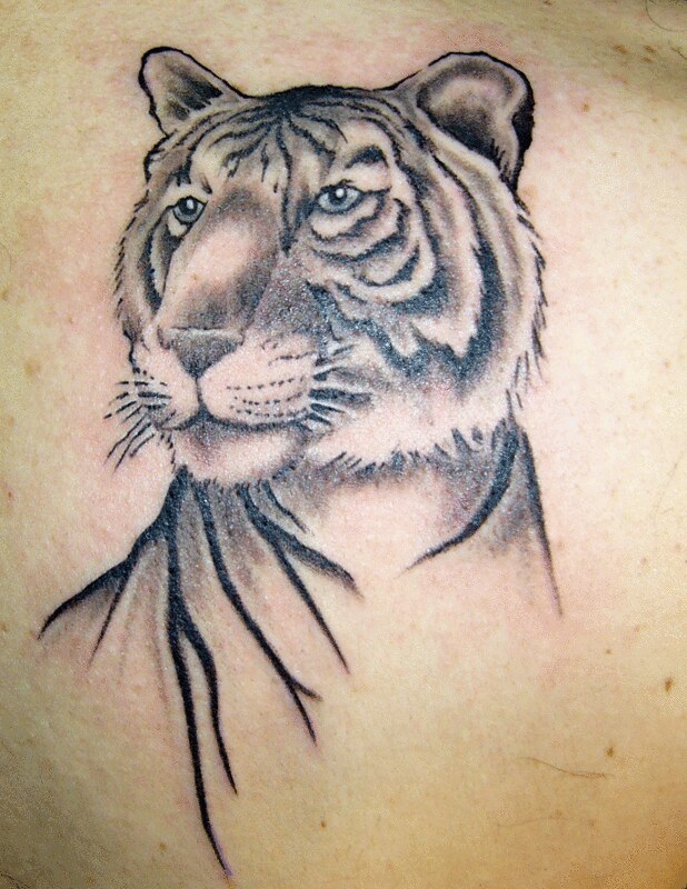 Tiger Tattoo | I did this tattoo last week. | Adelia (Addie) | Flickr
