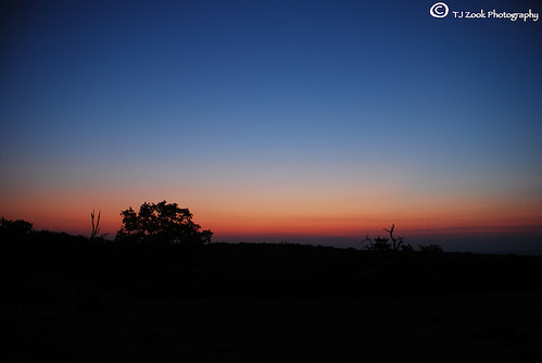 Sunrise by TJZookPhotography, © All Rights Reserved TJZookPhotographymorning pink blue tree beautiful leaves sanantonio sunrise le