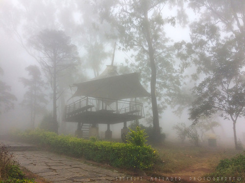 fog nature landscape iphone green travel india