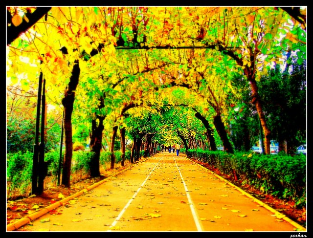 For Autumn - İzmir