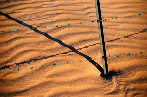 Desert Fence